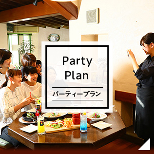 Party Plan